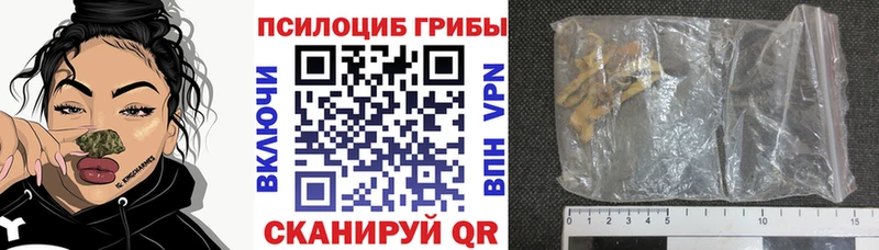 мега ссылка  закладка  Воткинск  Псилоцибиновые грибы Psilocybe 